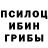 Псилоцибиновые грибы мухоморы Ilona Odrina