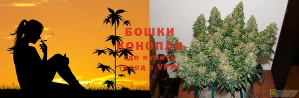 твердый Арсеньев