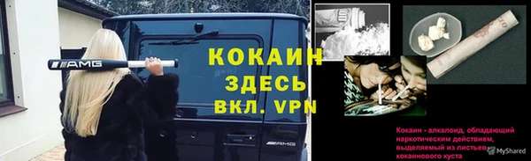 твердый Армянск