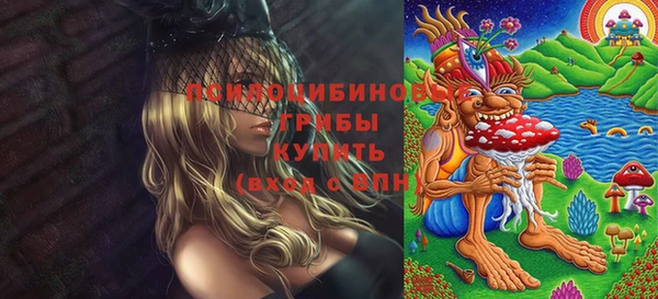 твердый Армянск