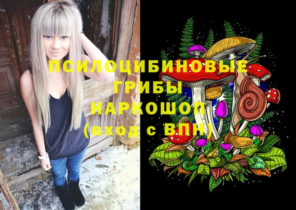 твердый Арсеньев