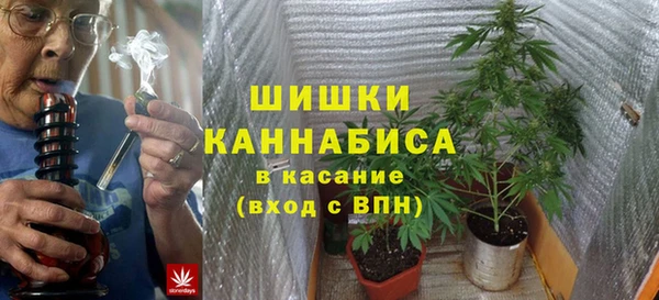 дживик Аркадак