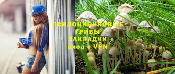 твердый Арсеньев