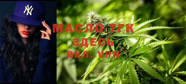 твердый Арсеньев