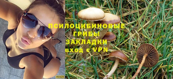 твердый Арсеньев