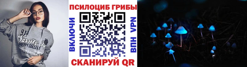 Псилоцибиновые грибы Cubensis Фролово