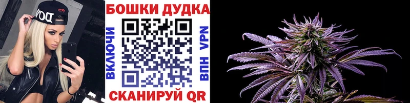 наркошоп Фролово Конопля план